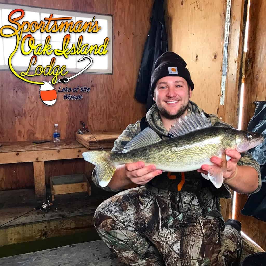 Caught 1-24-2017 by Eric Loverude 23 inch walleye. Eric was using a slender green glow red tiger gold spoon.