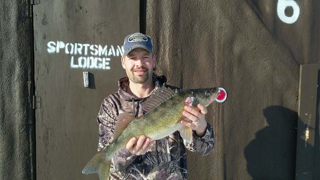 Michael Cline one of our guides was out fishing on his day off and reeled in a nice 25 inch walleye on a charmer.