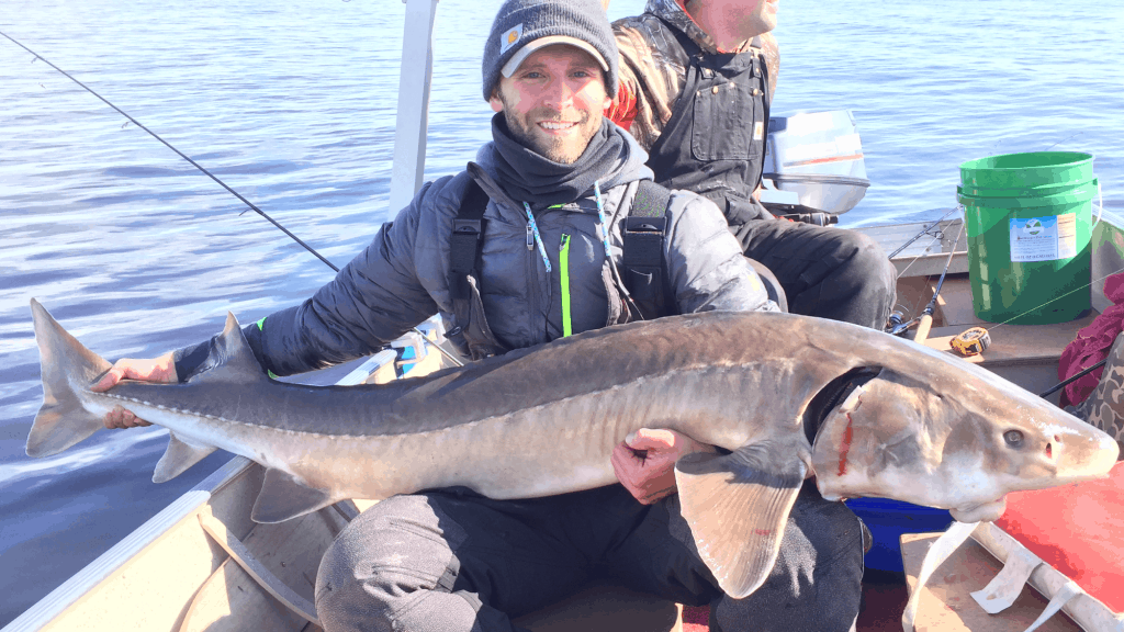 Taylor Schroeder 69 inch sturgeon