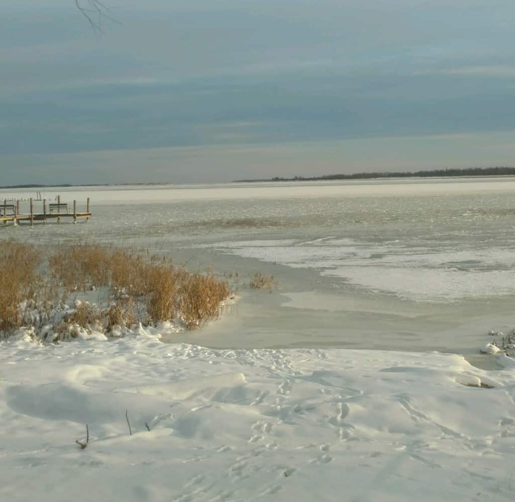 Four Mile Bay near Wheelers Point 11-10-2017. We are making ice! Not safe yet but the ice is taking shape.