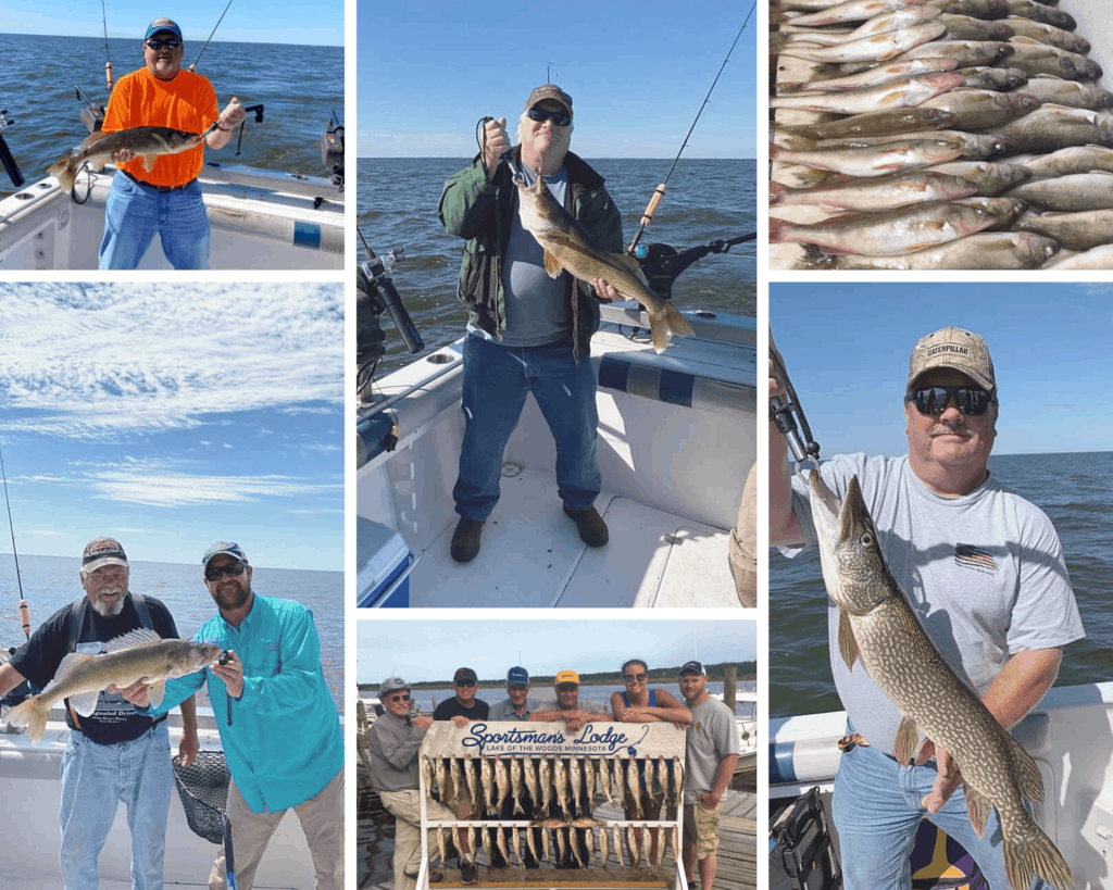 Lake of the Woods South Shore & Oak Island Fishing Report 8/27/20