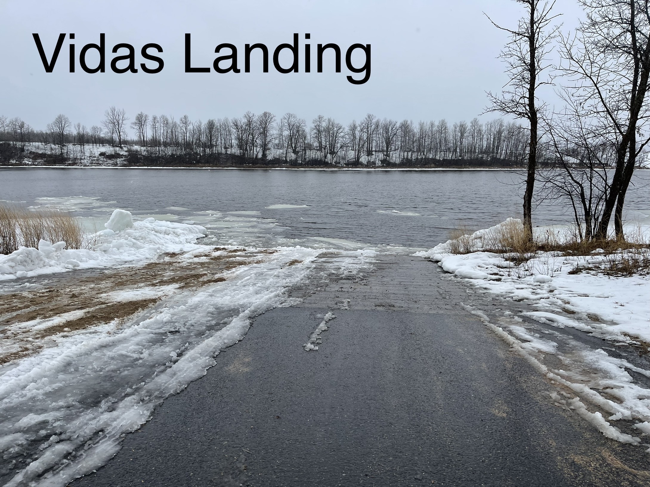 Vidas Landing